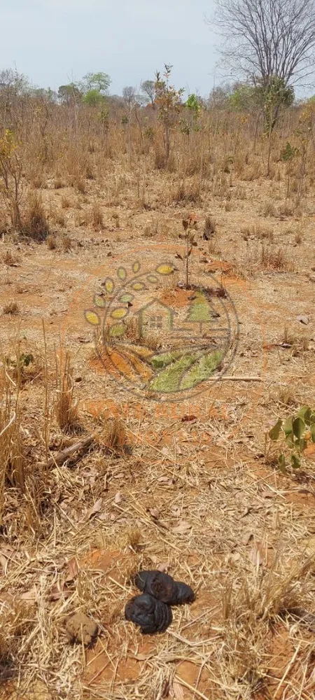 Fazenda, 2 hectares - Foto 6