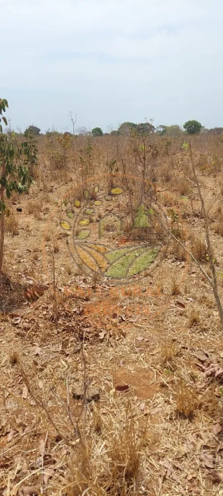 Fazenda, 2 hectares - Foto 8
