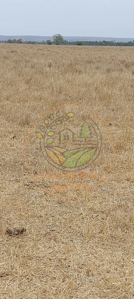 Fazenda, 2 hectares - Foto 5