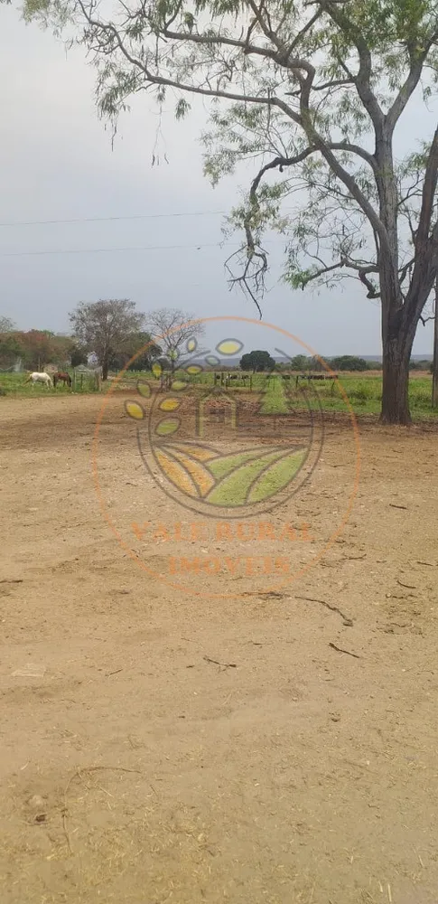 Fazenda, 2 hectares - Foto 9