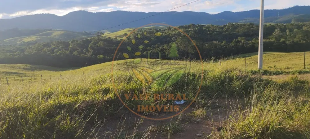 Fazenda - Foto 4