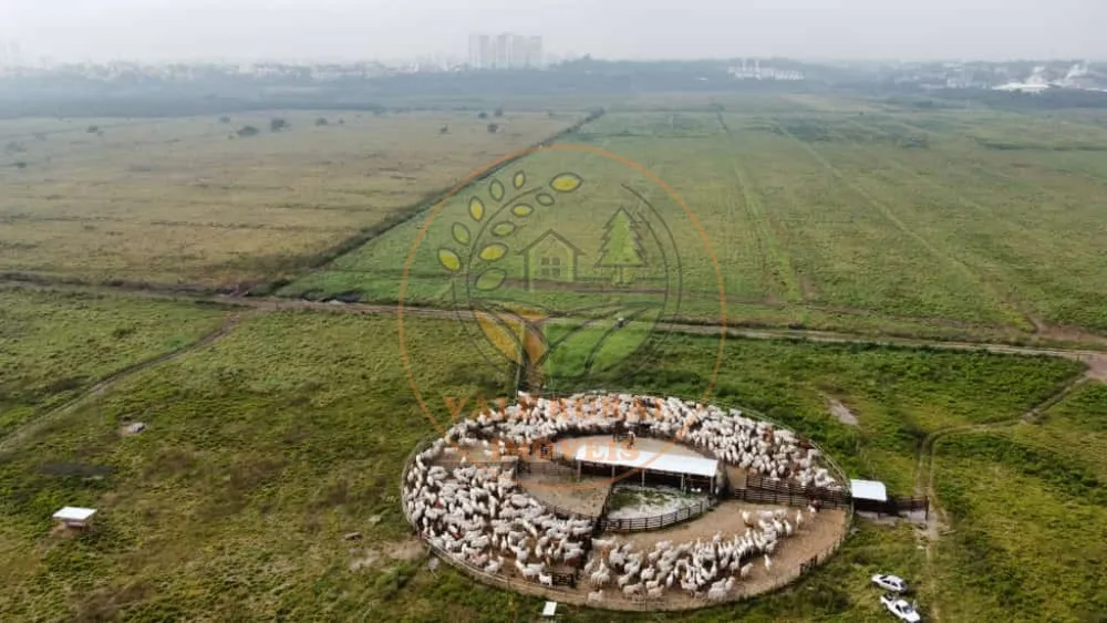 Fazenda, 1 quarto - Foto 7