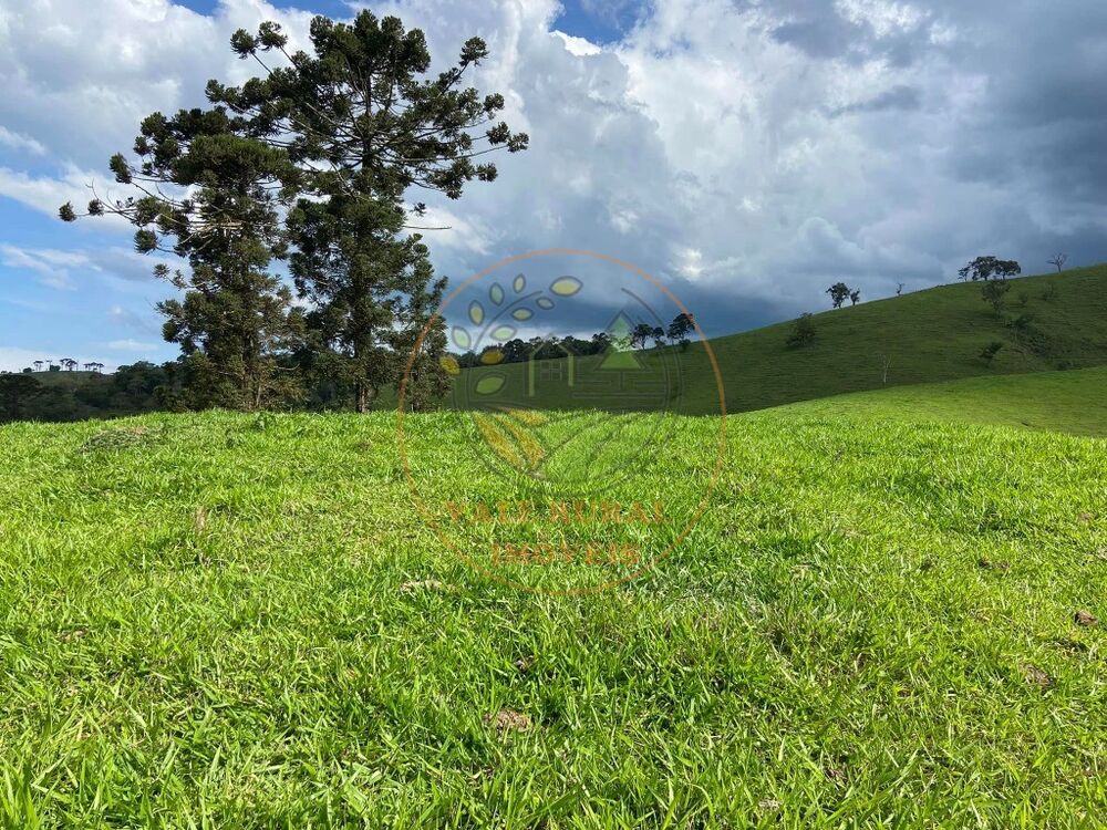 Fazenda - Foto 3