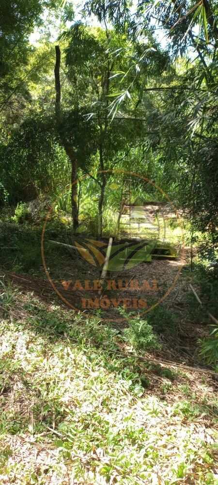 Fazenda à venda - Foto 3