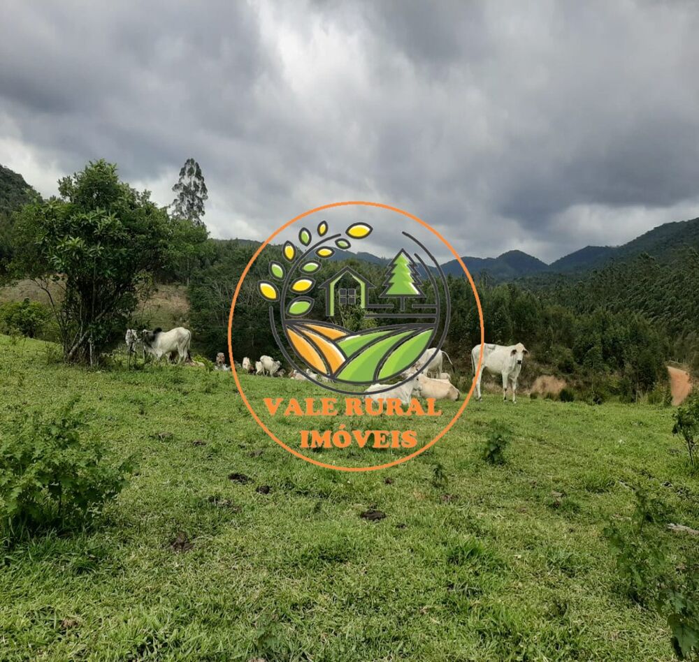 Fazenda, 150 m² - Foto 12