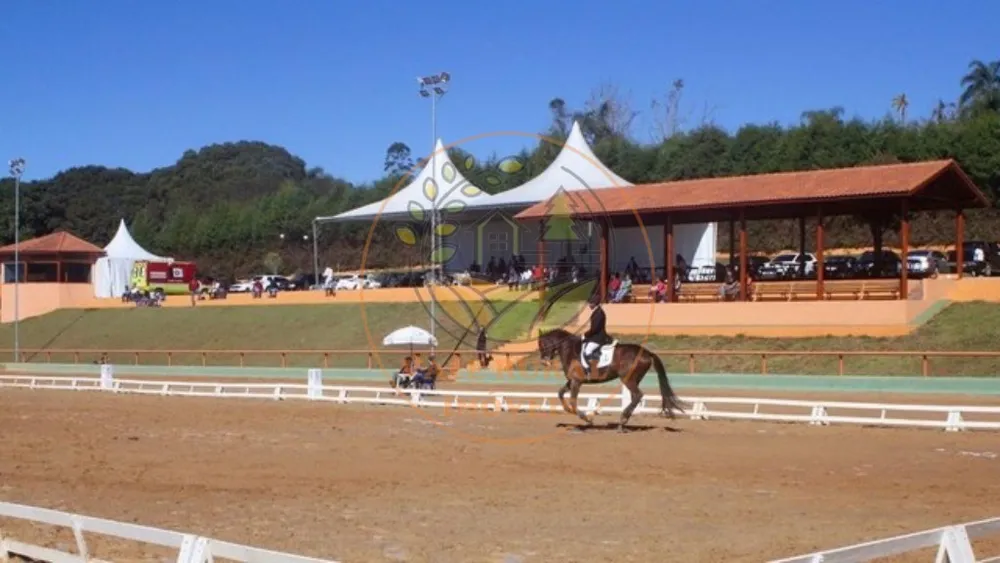 Fazenda, 8 hectares - Foto 7
