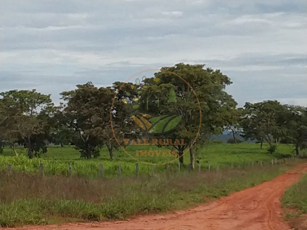 Fazenda, 2 quartos - Foto 11