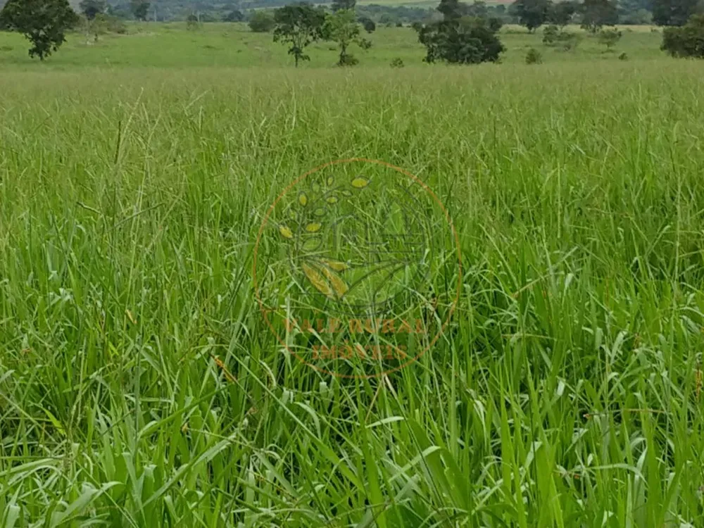 Fazenda, 2 quartos - Foto 8