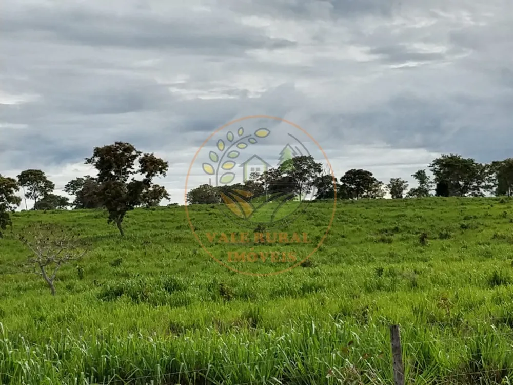 Fazenda, 2 quartos - Foto 7