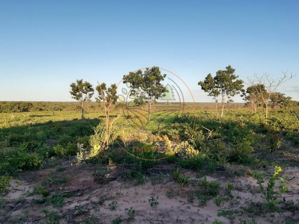 Fazenda, 3300 m² - Foto 5