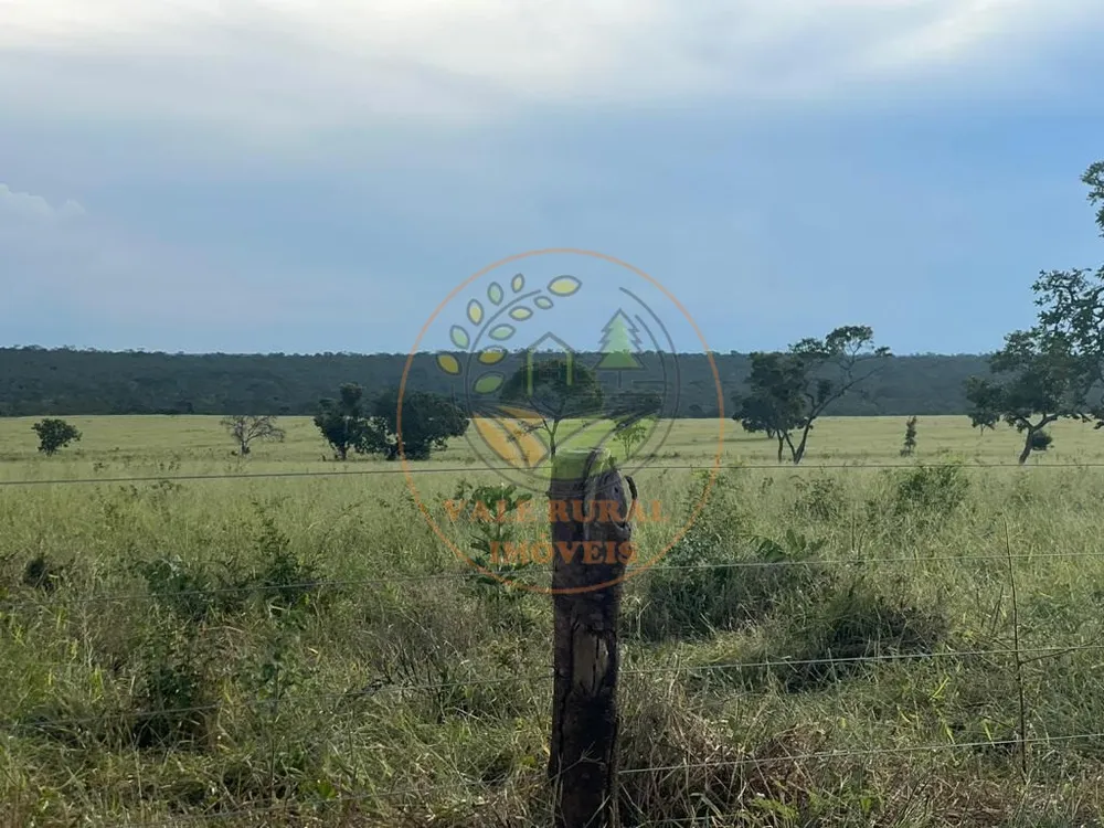 Fazenda, 3300 m² - Foto 8