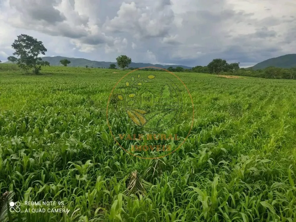 Fazenda à venda - Foto 1