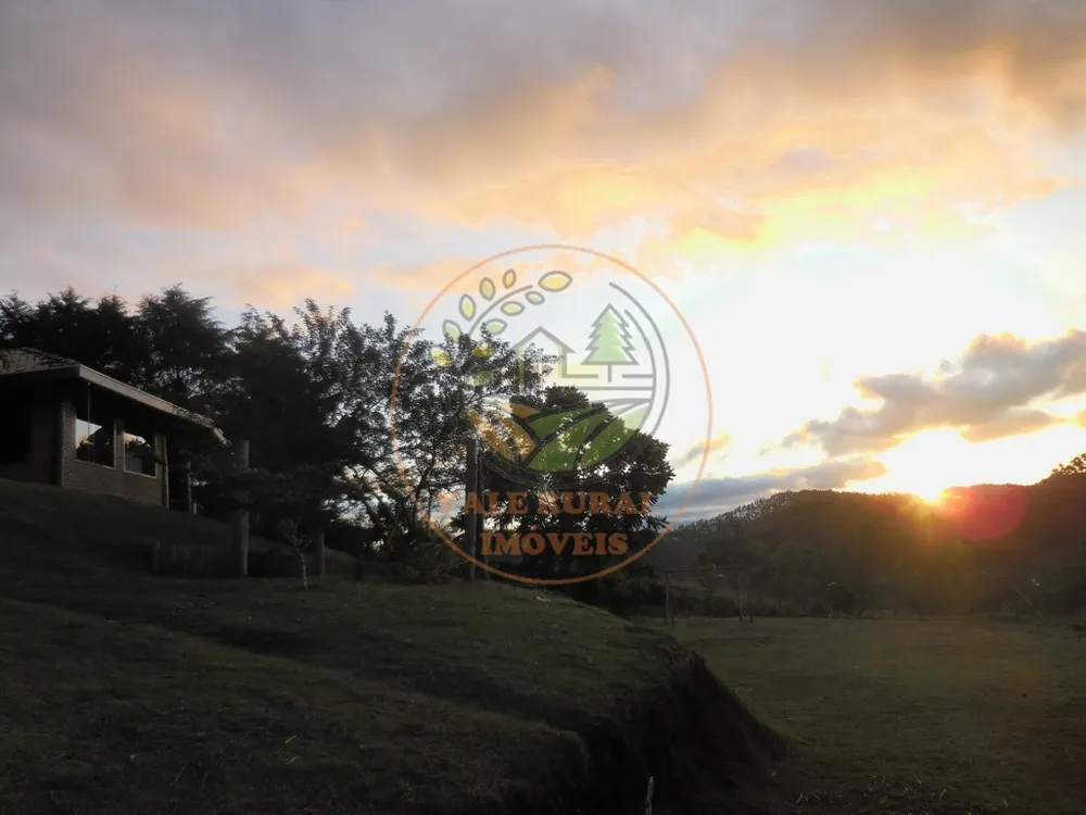Chácara, 4 quartos, 6550 m² - Foto 8