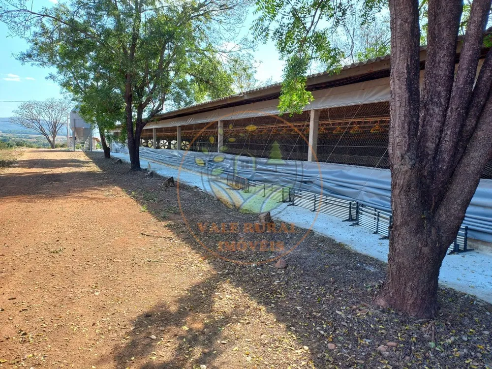 Fazenda - Foto 3