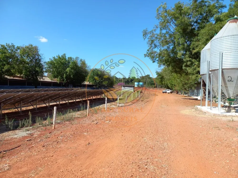 Fazenda - Foto 1