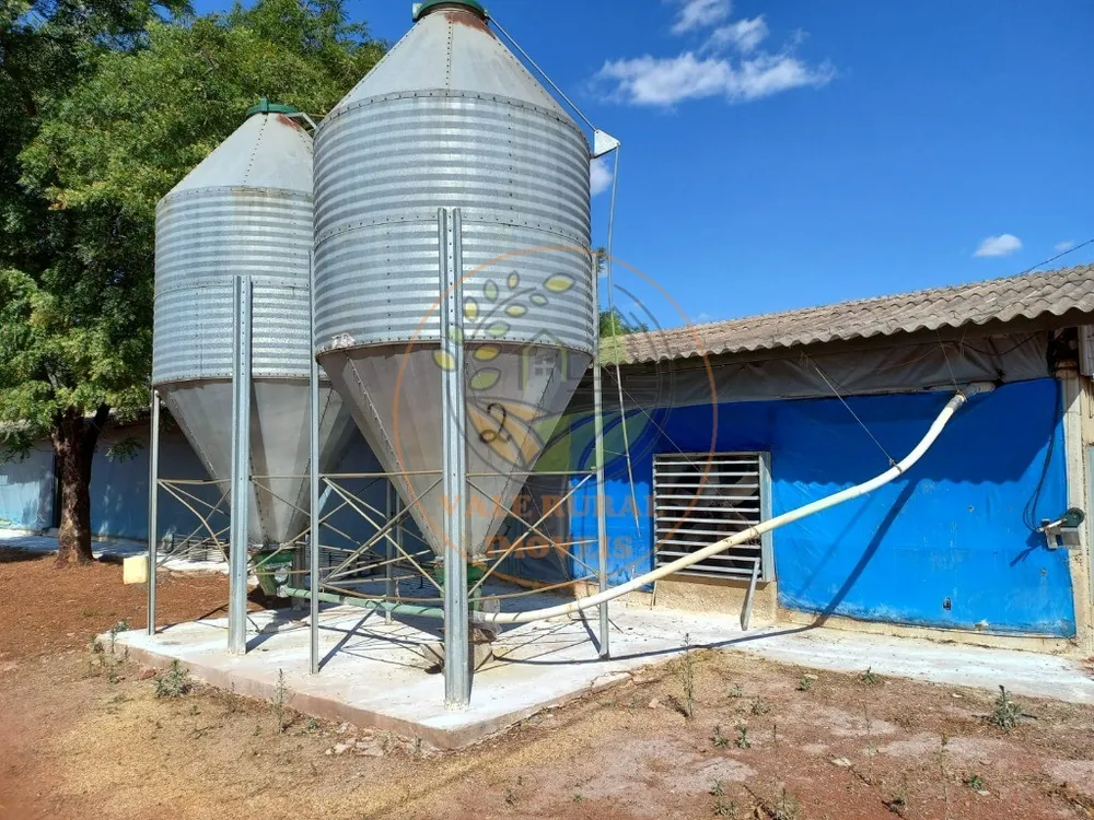 Fazenda - Foto 6