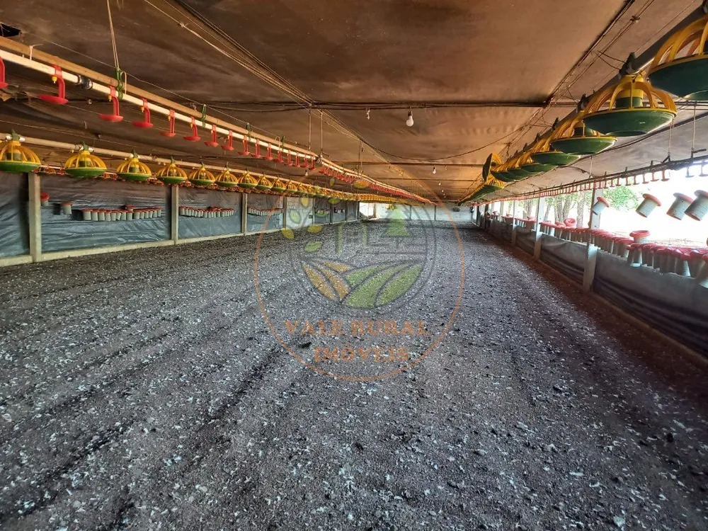 Fazenda - Foto 4