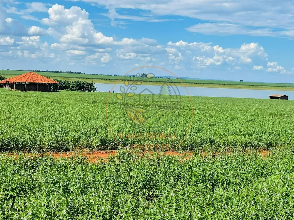 Fazenda - Foto 1