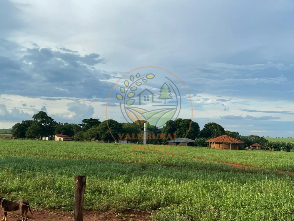 Fazenda - Foto 5