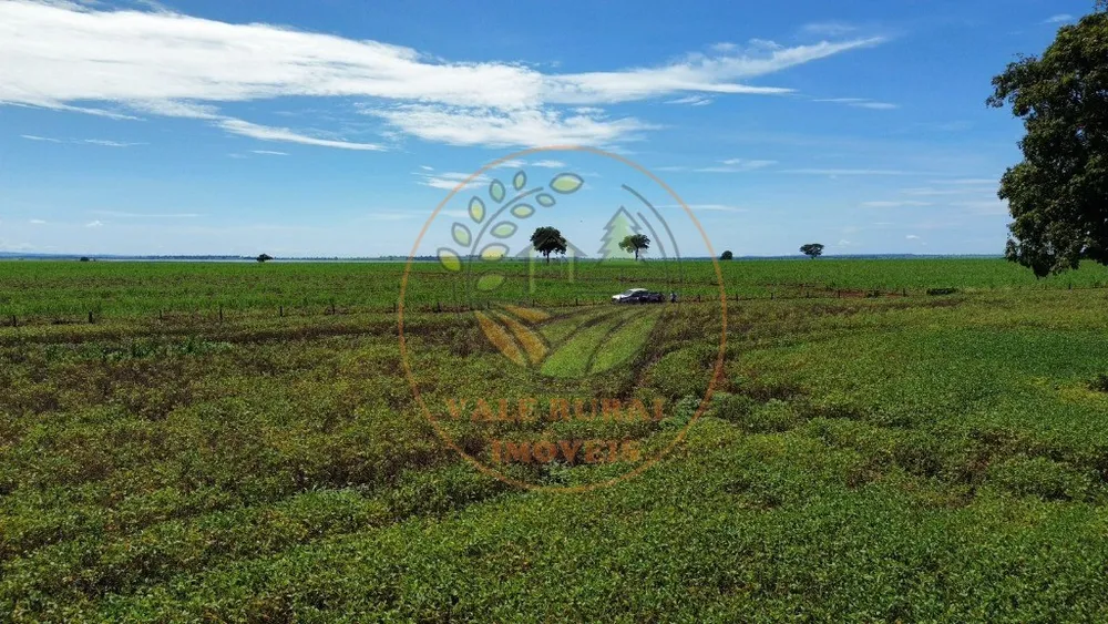 Fazenda - Foto 10