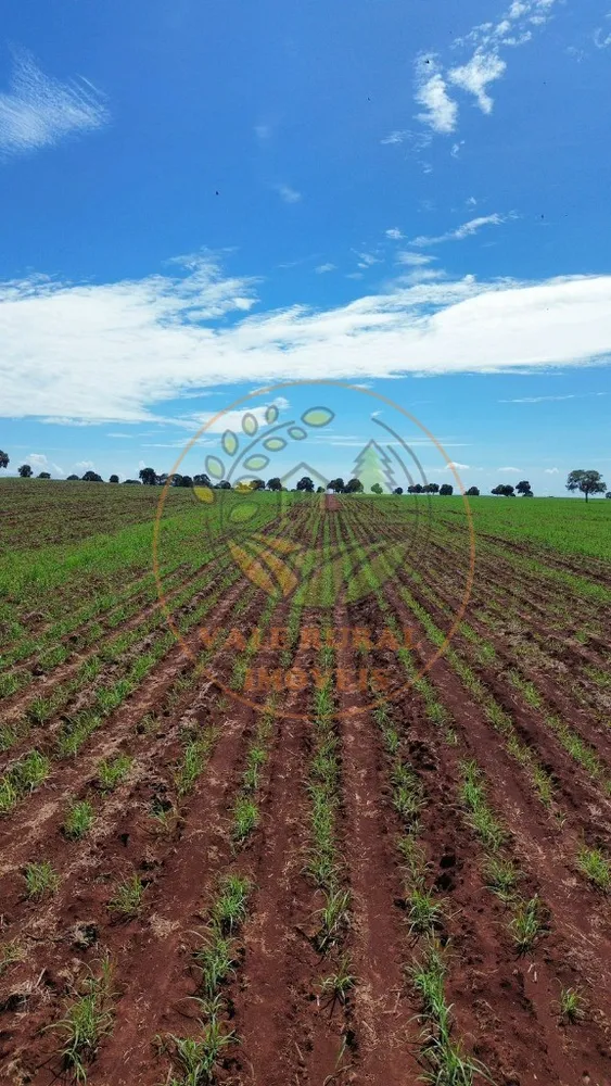 Fazenda - Foto 12