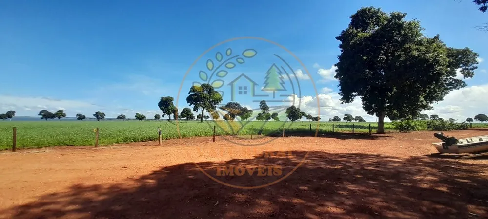 Fazenda - Foto 6