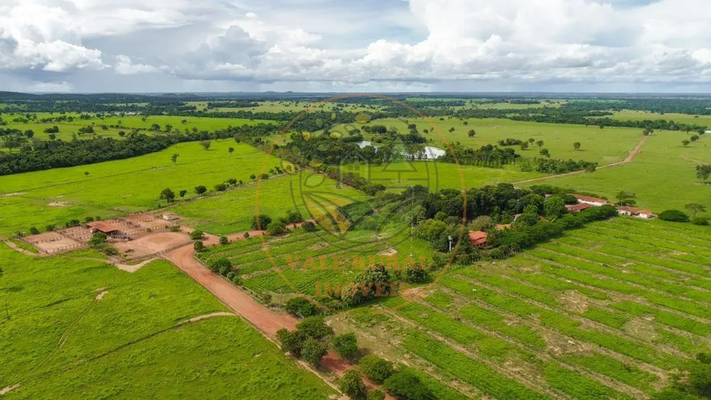 Fazenda - Foto 8
