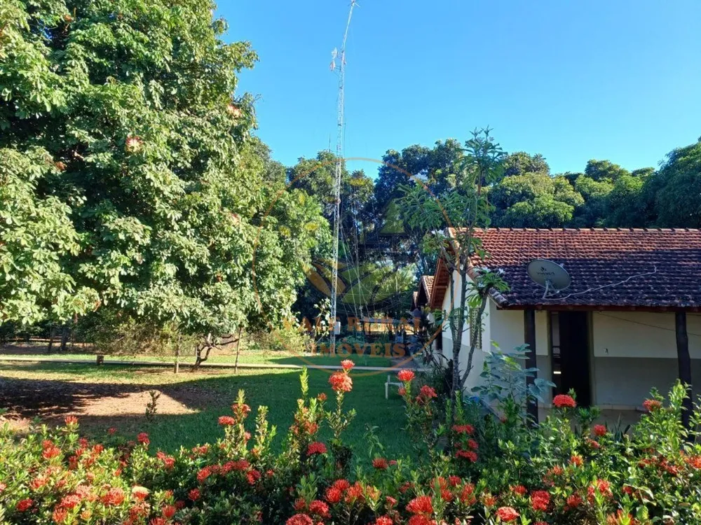 Fazenda - Foto 11