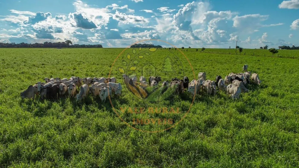 Fazenda - Foto 3