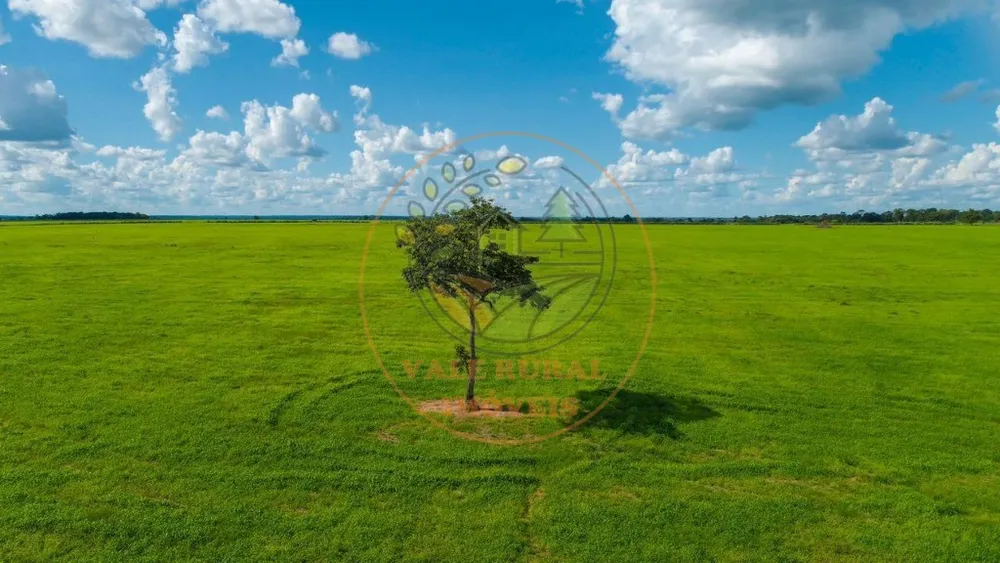 Fazenda - Foto 2