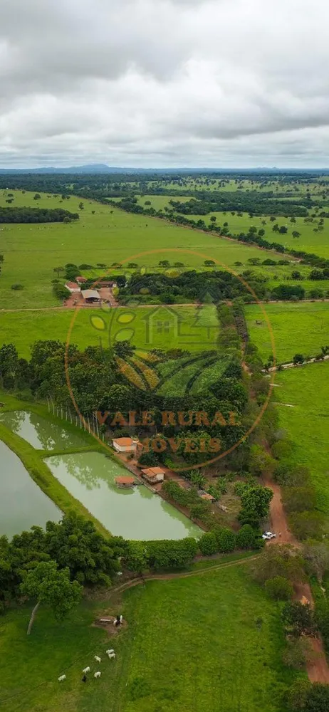 Fazenda - Foto 12