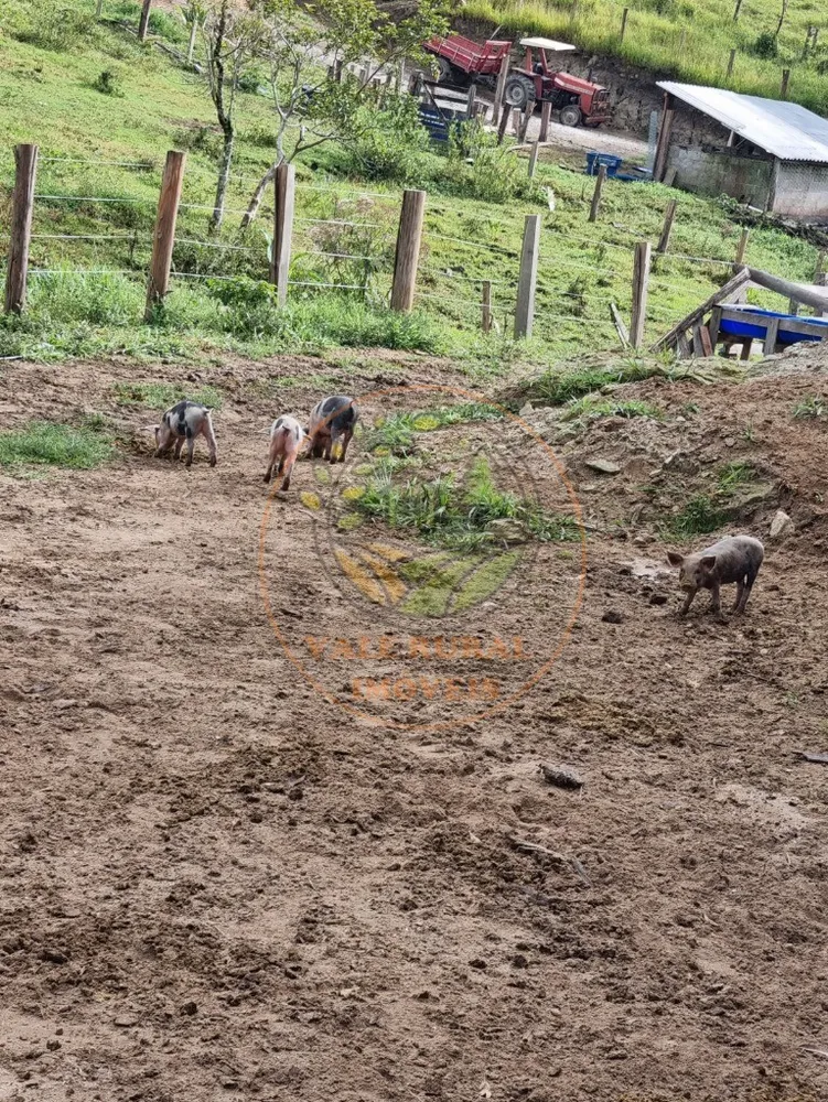 Fazenda, 5 quartos - Foto 10