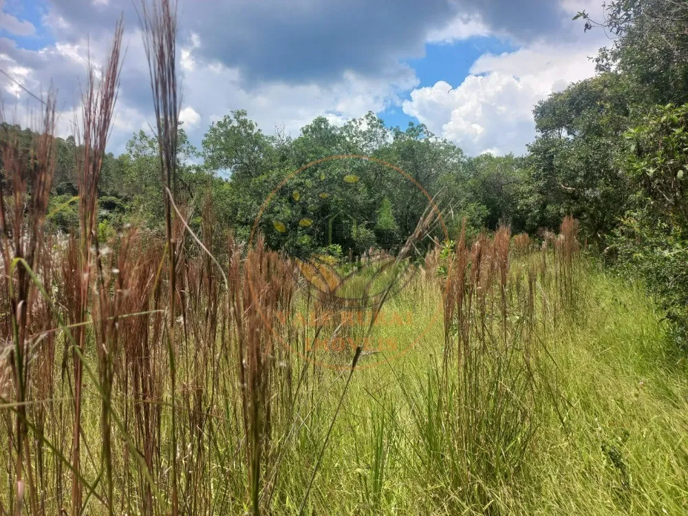 Fazenda - Foto 8