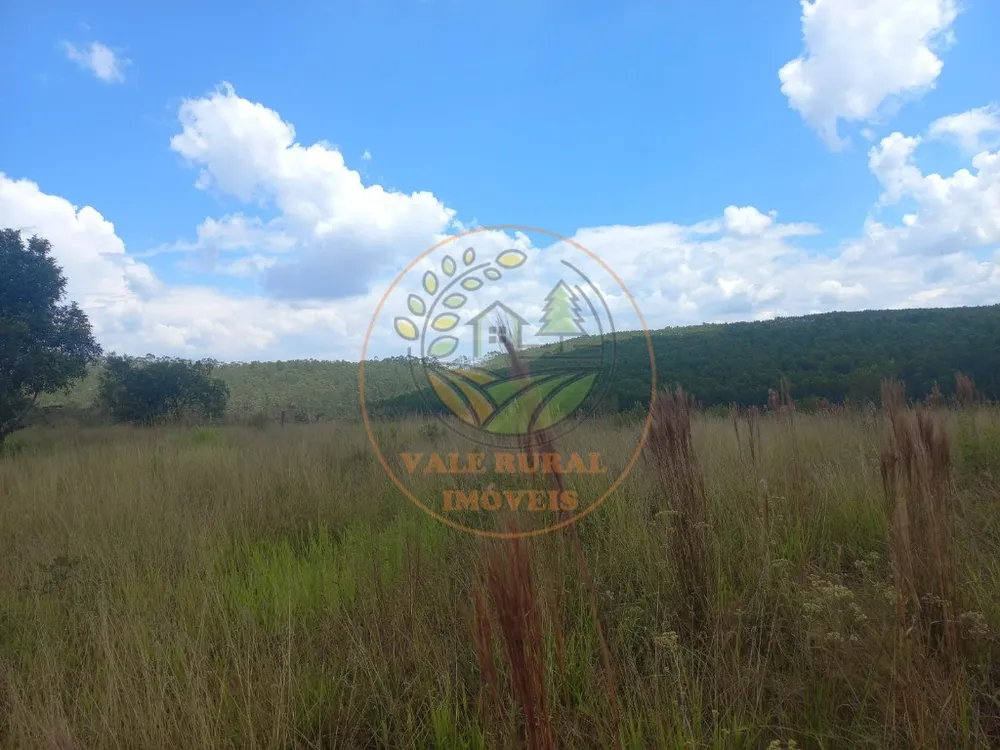 Fazenda - Foto 5