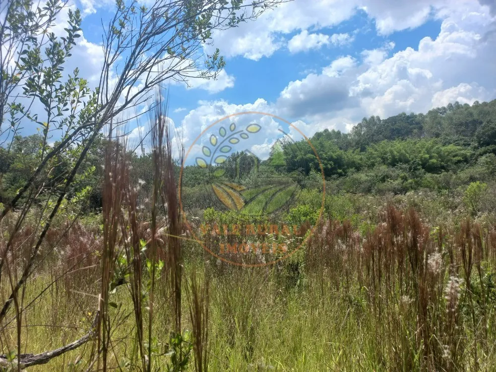 Fazenda - Foto 9