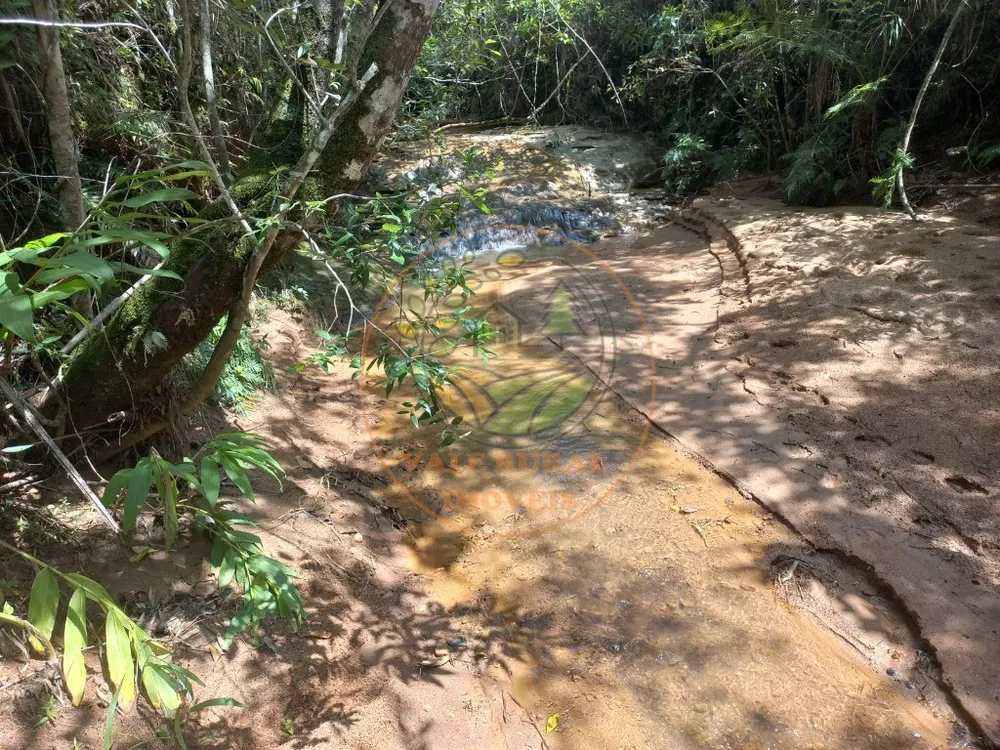 Fazenda - Foto 3