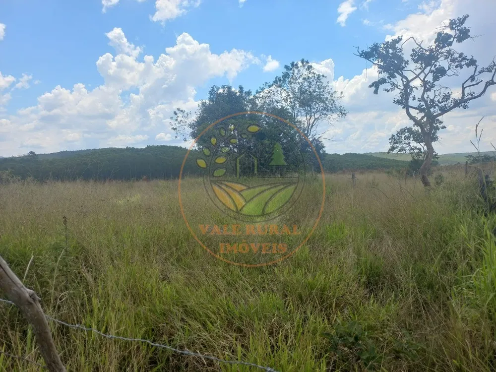 Fazenda - Foto 1