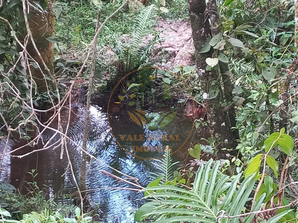 Fazenda - Foto 4