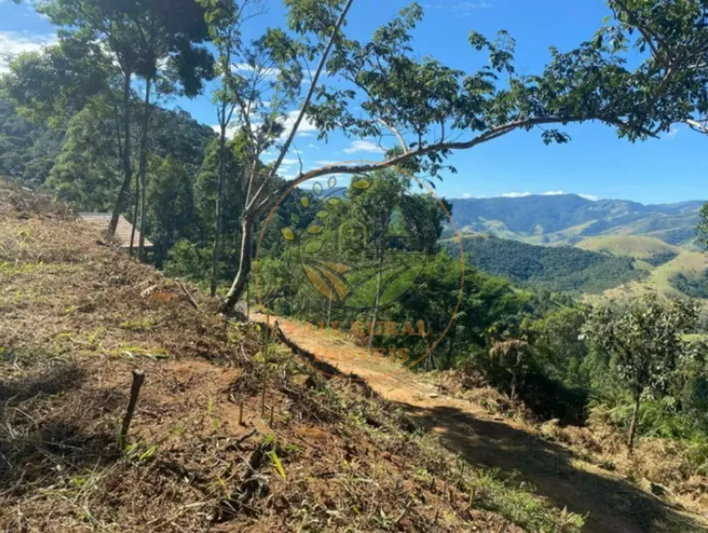 Fazenda - Foto 6