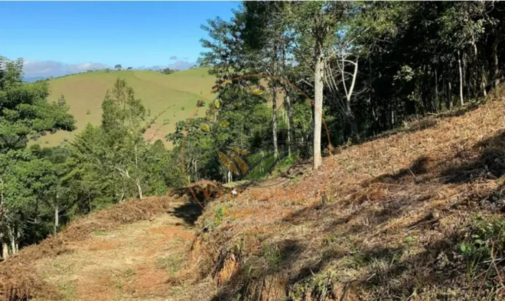 Fazenda - Foto 4