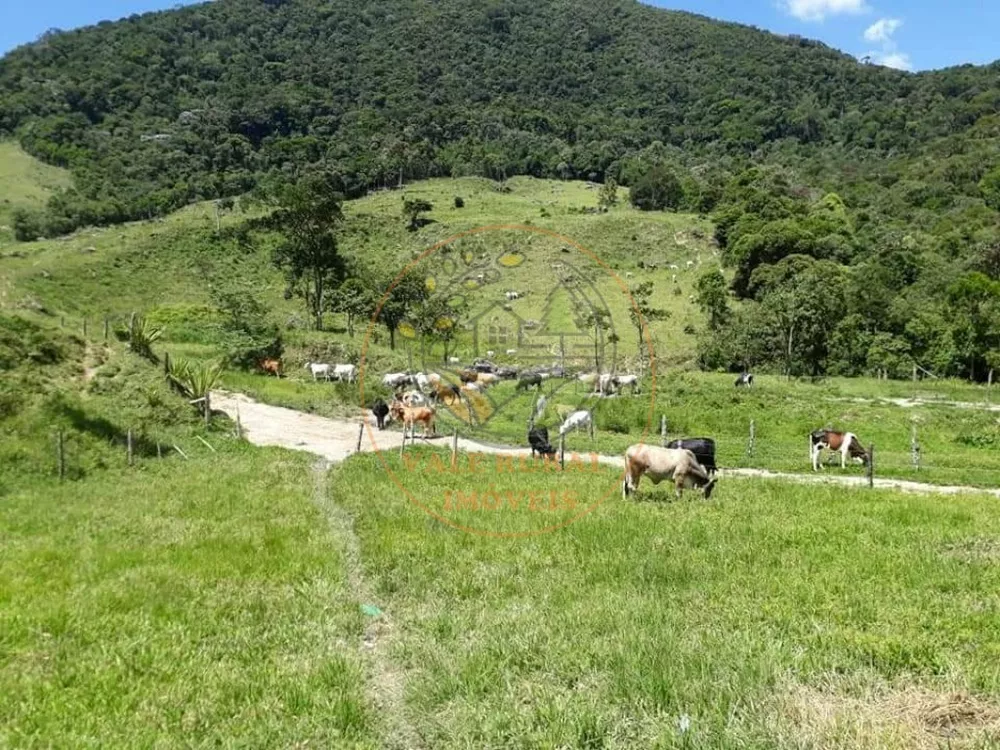 Fazenda à venda com 2 quartos, 25m² - Foto 2