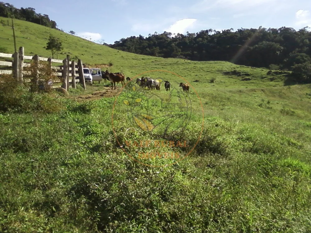 Fazenda à venda com 2 quartos, 54m² - Foto 3