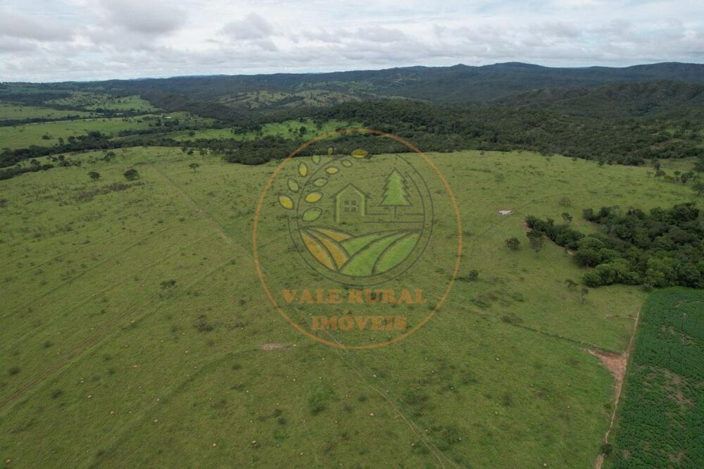 Fazenda à venda - Foto 3