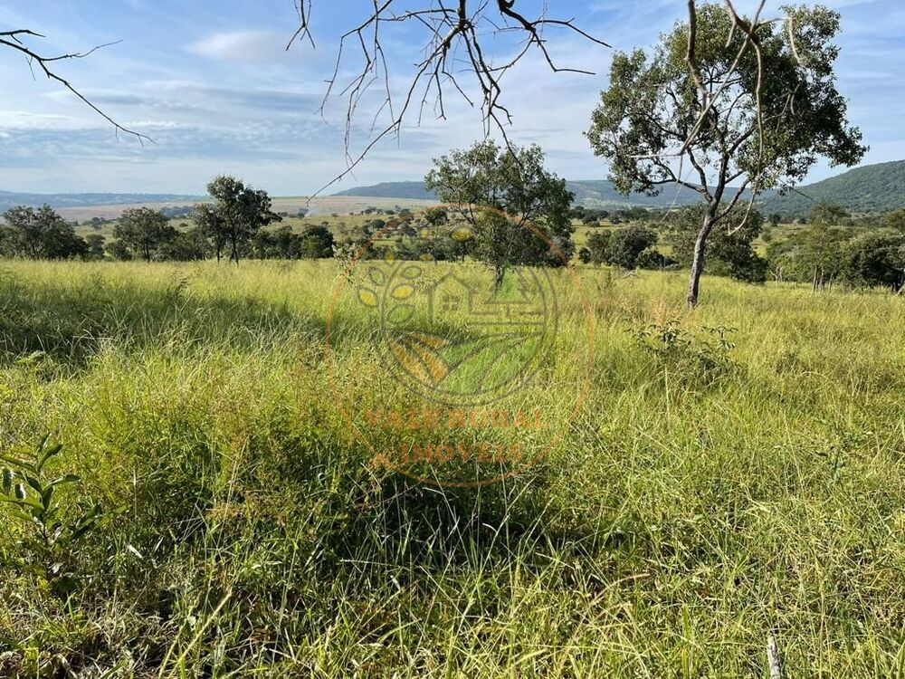 Fazenda à venda - Foto 2