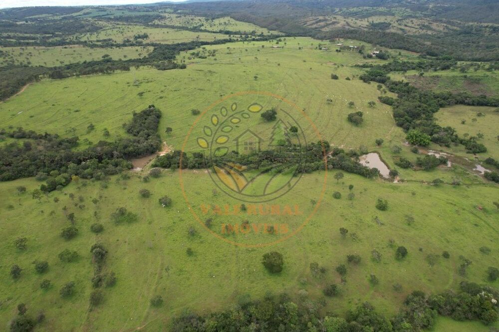 Fazenda à venda - Foto 4