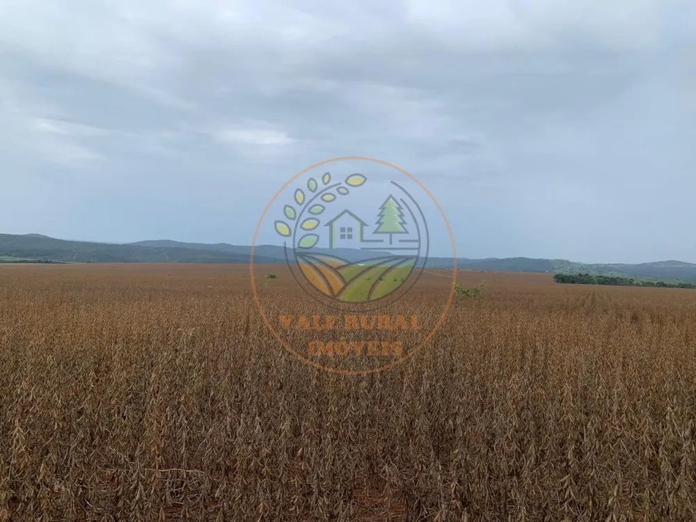 Fazenda - Foto 4