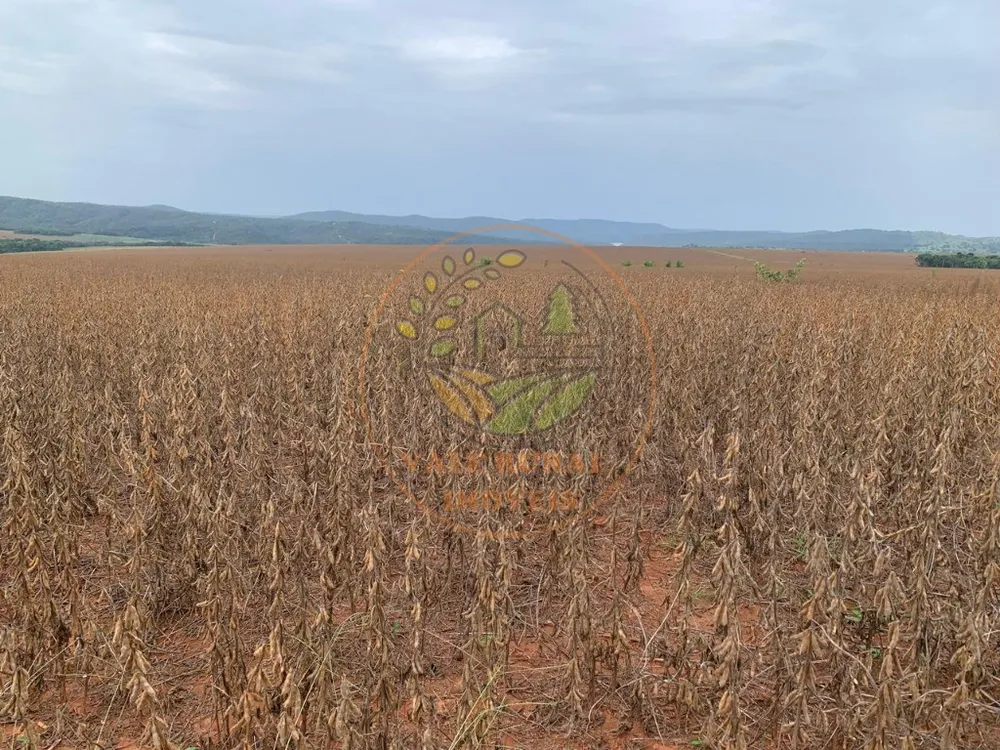 Fazenda - Foto 1
