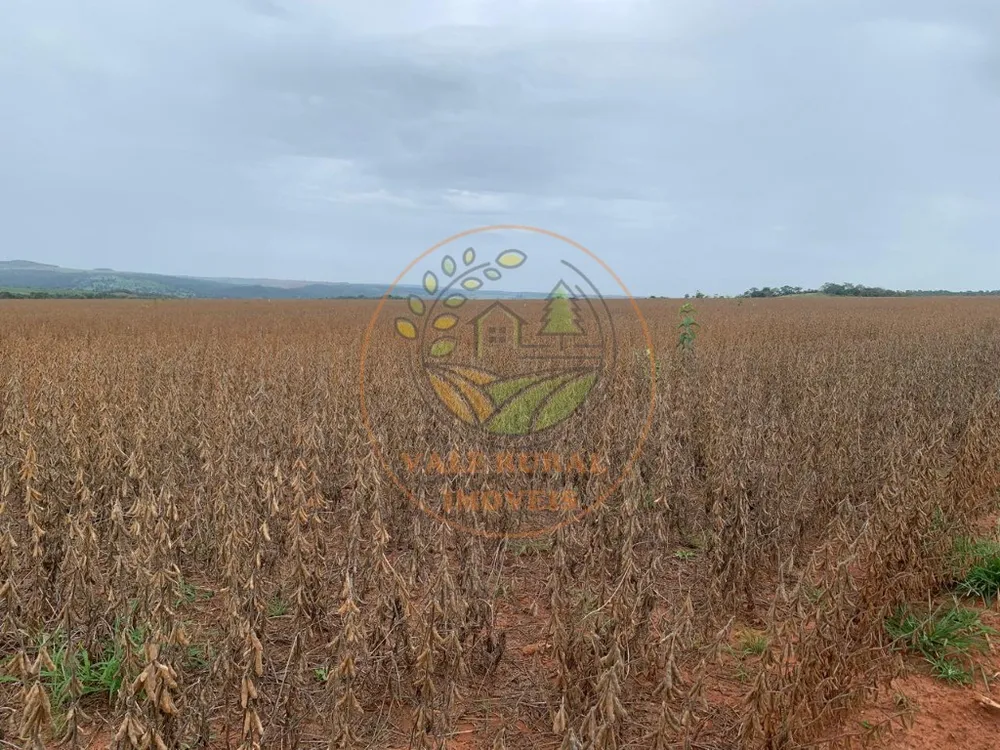 Fazenda - Foto 8