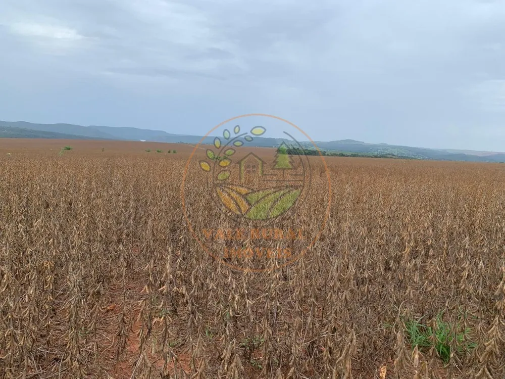 Fazenda - Foto 6