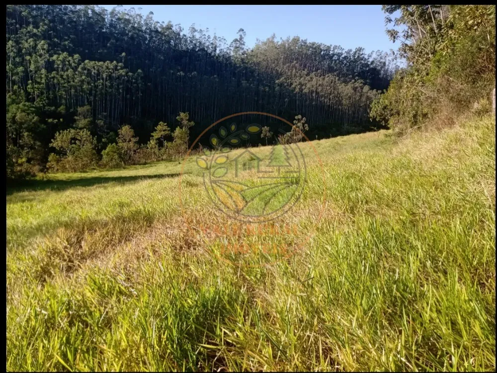 Fazenda, 3 quartos - Foto 7